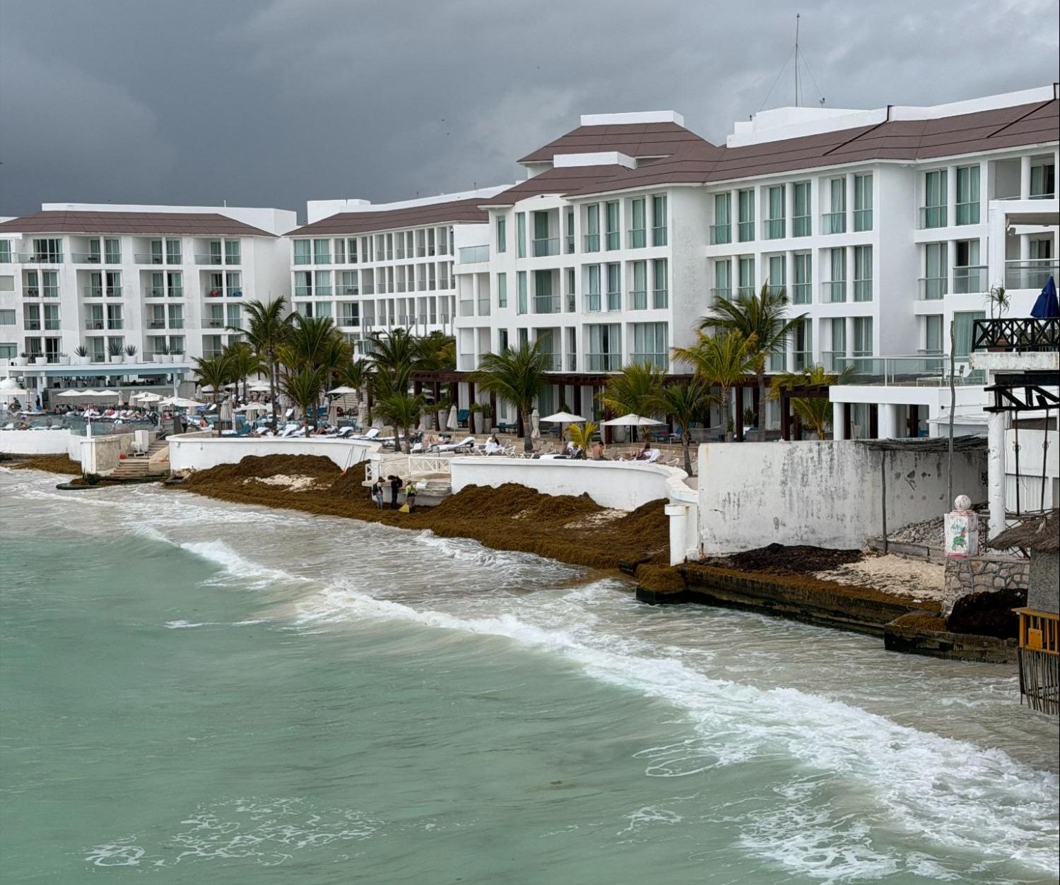 Cozumel vs. Riviera Maya: Which Is the Better Vacation Destination? (Insider Guide)